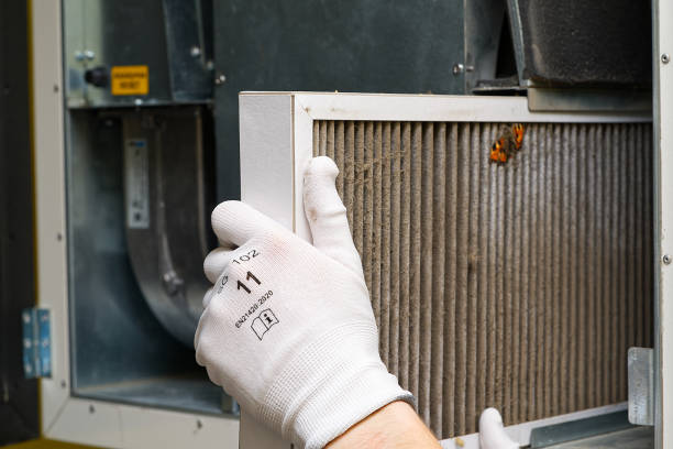 Best Affordable Duct Cleaning Services  in Rancho Murieta, CA